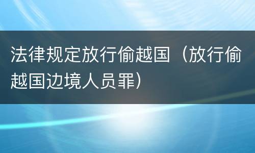 法律规定放行偷越国（放行偷越国边境人员罪）