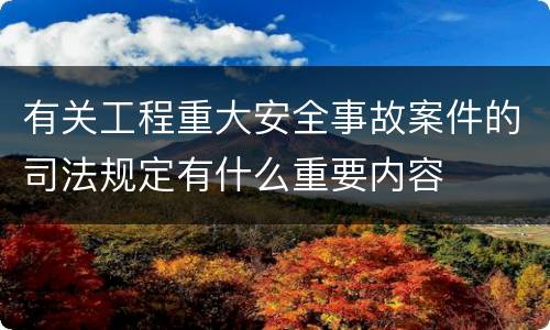 有关工程重大安全事故案件的司法规定有什么重要内容
