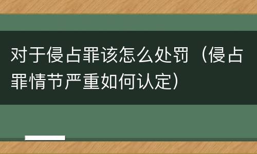 对于侵占罪该怎么处罚（侵占罪情节严重如何认定）