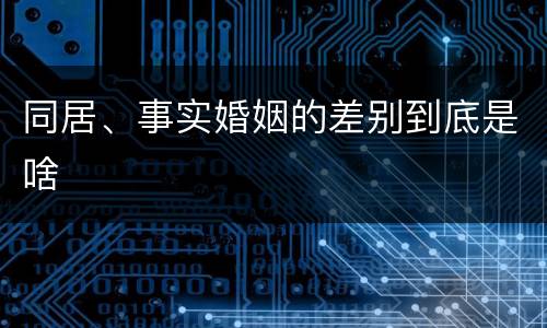 同居、事实婚姻的差别到底是啥