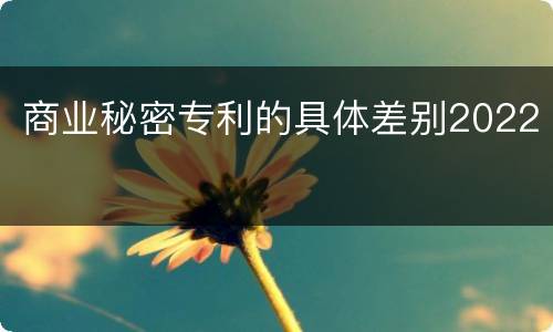 商业秘密专利的具体差别2022