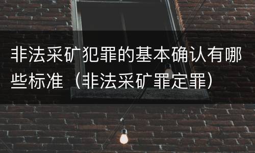 非法采矿犯罪的基本确认有哪些标准（非法采矿罪定罪）
