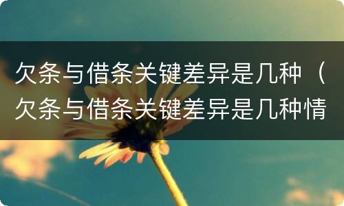 欠条与借条关键差异是几种（欠条与借条关键差异是几种情况）