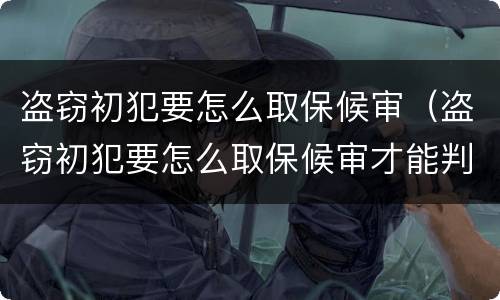 盗窃初犯要怎么取保候审（盗窃初犯要怎么取保候审才能判刑）
