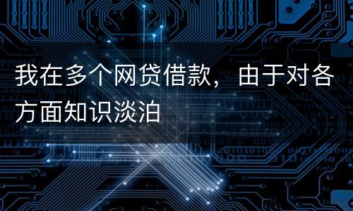 我在多个网贷借款，由于对各方面知识淡泊