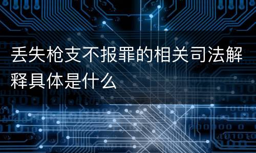 丢失枪支不报罪的相关司法解释具体是什么