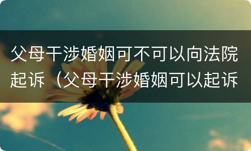 父母干涉婚姻可不可以向法院起诉（父母干涉婚姻可以起诉吗）