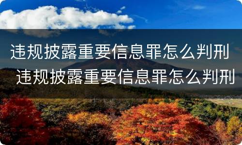 违规披露重要信息罪怎么判刑 违规披露重要信息罪怎么判刑的