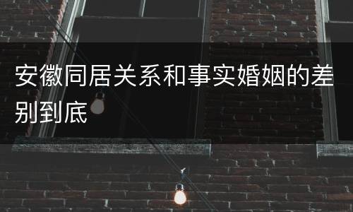 安徽同居关系和事实婚姻的差别到底