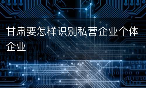 甘肃要怎样识别私营企业个体企业