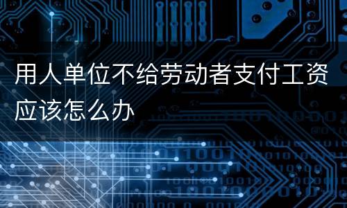用人单位不给劳动者支付工资应该怎么办