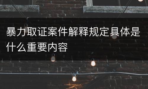 暴力取证案件解释规定具体是什么重要内容