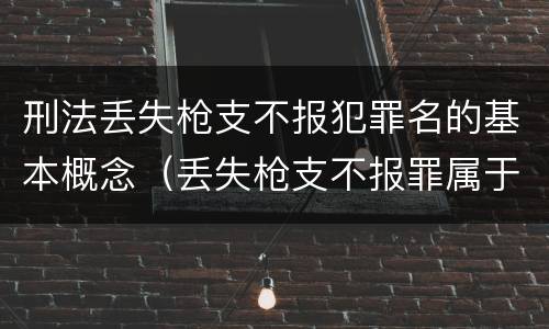 刑法丢失枪支不报犯罪名的基本概念（丢失枪支不报罪属于过失犯罪吗）