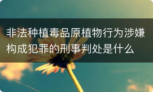 非法种植毒品原植物行为涉嫌构成犯罪的刑事判处是什么
