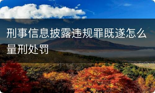 刑事信息披露违规罪既遂怎么量刑处罚
