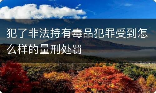 犯了非法持有毒品犯罪受到怎么样的量刑处罚