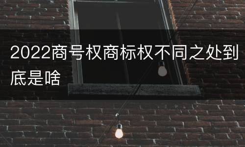 2022商号权商标权不同之处到底是啥
