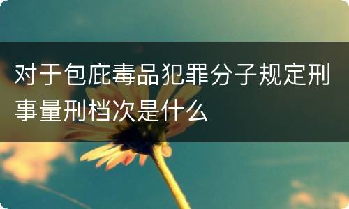 对于包庇毒品犯罪分子规定刑事量刑档次是什么