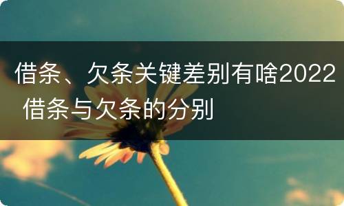 借条、欠条关键差别有啥2022 借条与欠条的分别