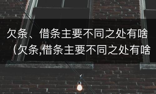 欠条、借条主要不同之处有啥（欠条,借条主要不同之处有啥不一样）