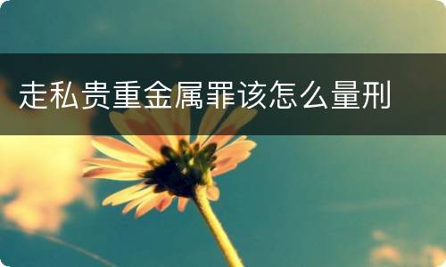 走私贵重金属罪该怎么量刑