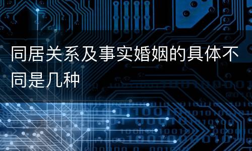同居关系及事实婚姻的具体不同是几种