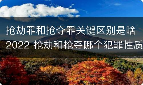抢劫罪和抢夺罪关键区别是啥2022 抢劫和抢夺哪个犯罪性质严重