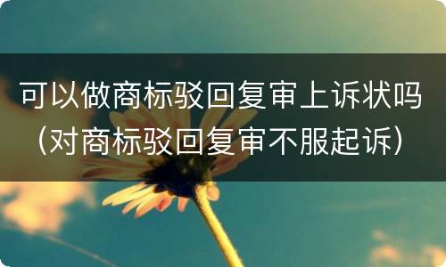 可以做商标驳回复审上诉状吗（对商标驳回复审不服起诉）