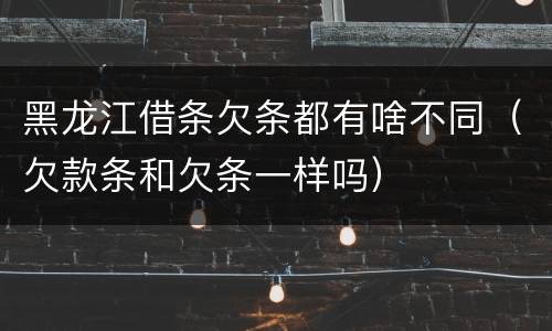 黑龙江借条欠条都有啥不同（欠款条和欠条一样吗）