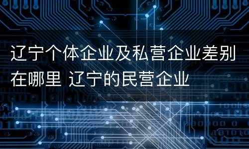 辽宁个体企业及私营企业差别在哪里 辽宁的民营企业