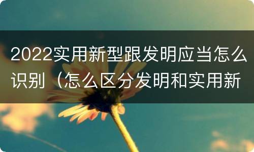 2022实用新型跟发明应当怎么识别（怎么区分发明和实用新型）