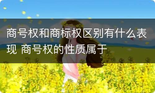商号权和商标权区别有什么表现 商号权的性质属于