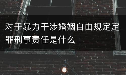 对于暴力干涉婚姻自由规定定罪刑事责任是什么