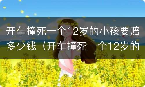 开车撞死一个12岁的小孩要赔多少钱（开车撞死一个12岁的小孩要赔多少钱呀）