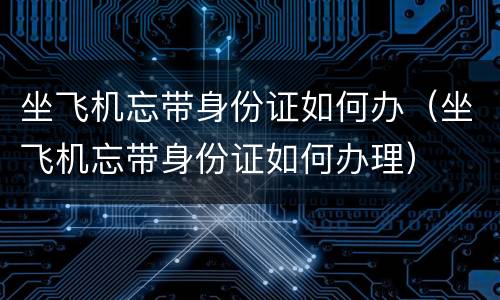 坐飞机忘带身份证如何办（坐飞机忘带身份证如何办理）
