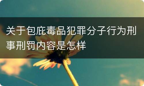 关于包庇毒品犯罪分子行为刑事刑罚内容是怎样