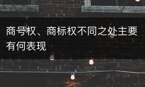 商号权、商标权不同之处主要有何表现