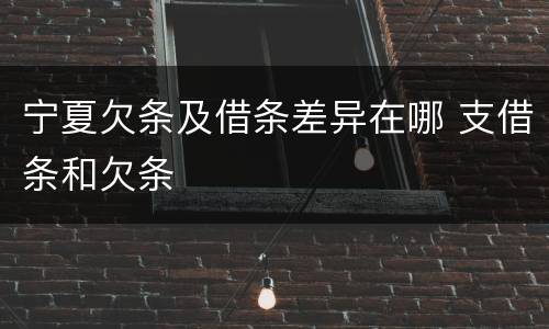 宁夏欠条及借条差异在哪 支借条和欠条