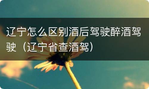 辽宁怎么区别酒后驾驶醉酒驾驶（辽宁省查酒驾）