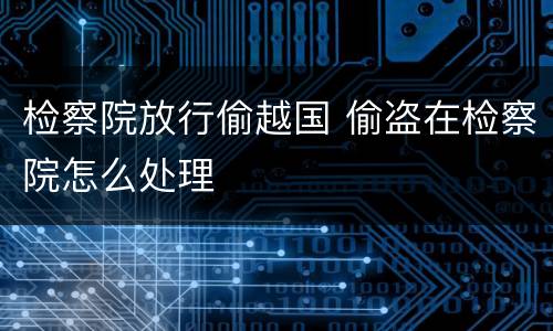 检察院放行偷越国 偷盗在检察院怎么处理
