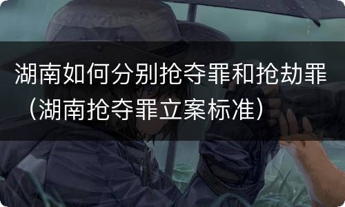 湖南如何分别抢夺罪和抢劫罪（湖南抢夺罪立案标准）