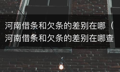 河南借条和欠条的差别在哪（河南借条和欠条的差别在哪查）