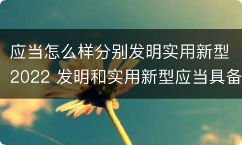 应当怎么样分别发明实用新型2022 发明和实用新型应当具备