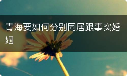 青海要如何分别同居跟事实婚姻