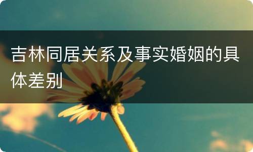 吉林同居关系及事实婚姻的具体差别