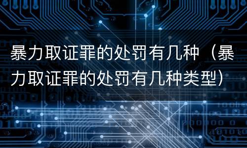 暴力取证罪的处罚有几种（暴力取证罪的处罚有几种类型）