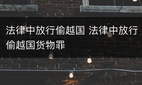 法律中放行偷越国 法律中放行偷越国货物罪