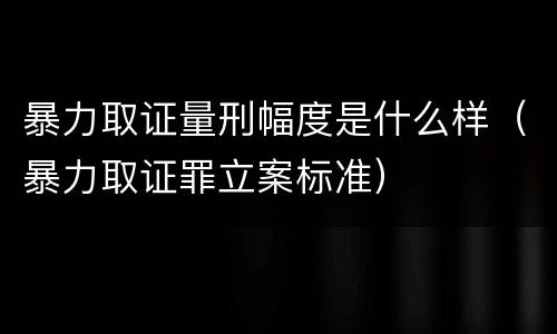 暴力取证量刑幅度是什么样（暴力取证罪立案标准）