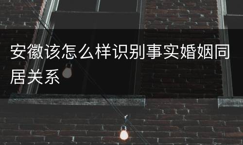 安徽该怎么样识别事实婚姻同居关系