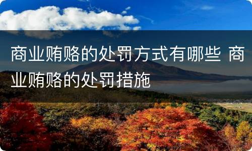 商业贿赂的处罚方式有哪些 商业贿赂的处罚措施